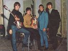 The Beatles Rock And Roll Music / Ill Follow The Sun PICTURE SLEEVE Parloph