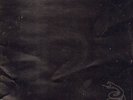 Metallica: Metallica (Black Album)  2 LP