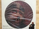 Warren Zevon Werewolves of London 12
