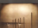 OM - conference of the birds LP