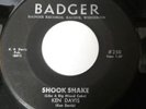 RARE ROCKABILLY 45 KEN DAVIS SHOOK SHAKE/ECHO ROCK BADGER #250