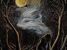 WOODS OF DESOLATION - As the Stars  LP  BLUE