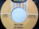 CADILLACS Feat.JESSE POWELL The Boogie Man b/w That's Why ORIG.VG++ Josie  FM438