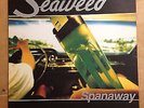 Seaweed Spanaway Promo Vinyl Record LP Punk Grunge Rock Album 1995