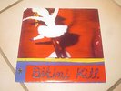 BIKINI KILL - NEW RADIO 7