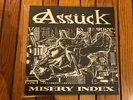 Assuck  Misery Index vinyl   LP