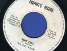 1065 WAYNE WADE-FIRE FIRE- PROPHET'S-VIVIAN JACKSON- 1979 REGGAE 45 7