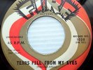 The TELLERS original Fury 45 I Wanna Run To You / Tears Fell From My Eyes mg1279