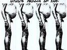 BUTTHOLE SURFERS 