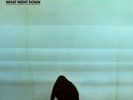 Foals - What Went Down - Vinyl