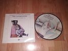 the chameleons script of the bridge PICTURE DISC / the fan & bellows LP SEALED