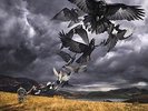Rattle That Lock, 2015  David Gilmour Vinyl NEW