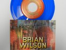 Brian Wilson AUTOGRAPHED Blue 7
