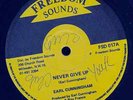EARL CUNNINGHAM - Never Give Up - Freedom Sounds 12