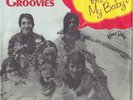 The FLAMIN' GROOVIES * 1971 POWER POP GARAGE PUNK * German 45 * Listen
