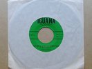 The Iguanas I Can Only Give You Everything rare 1967 US Texas Iguana label 45