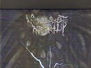 WOODS OF INFINITY - Ljuset LP