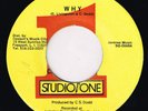 CARLTON LIVINGSTON-why   7