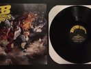 B.o.B Presents The Adventures of Bobby Ray Double Vinyl LP BoB