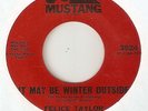 FELICE TAYLOR It May Be Winter Outside MUSTANG  NORTHERN SOUL 45
