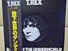 Japan Die-cut Cover T. Rex ?/Dandy In The Underworld David Bowie  Free Shipping