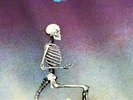 MIDNIGHT  SUN  LP 
