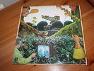 ELTON DEAN’S NINESENSE - OH  FOR THE EDGE - UK ISSUE - OGUN - 1976 - EXCELLENT