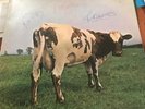 Pink Floyd,