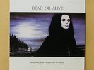 DEAD OR ALIVE Mad Bad and Dangerous To Know Korea White Label PROMO LP Insert