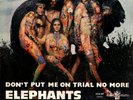 ELEPHANT'S MEMORY don't put me on trial / hot dog man 45RPM orig ITALY Psych