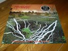 Revenant prophecies of a dying world 1st press LP.