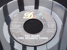 PAT BOONE: Some Enchanted Evening   Popcorn 45   DOT Gold Star Studio   EX/EX