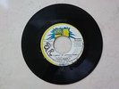 FUNKY BROWN & INNER CIRCLE - THE LAMENT OF AFRICAN PEOPLE  / HARRY J