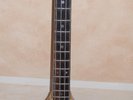 VIOLA BASS GUITAR- (LIKE THE ONE MC CARTNEY PLAYS) + HARD SHELL CARRYING CASE