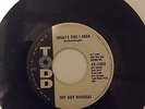 Super rare blues record. Shy Guy Douglas on TODD (1092) VG D.J. copy