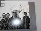 Tom Petty & The Heartbreakers  Echo