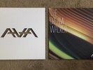 Angels And Airwaves & Dream Walker Clear Blink 182 +44 Green Day Underoath LP
