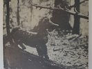 Fox Hollow Folk  Festival 1967 Petersburgh NY  Vol. III 