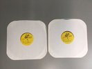 Rare Unplayed The Brian Jonestown Massacre Tepid..Vol 2 Vinyl Test Pressing