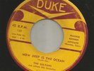 DOOWOP R&B bw/ JUMP - SULTANS -  HOW DEEP IS THE OCEAN  -HEAR -1955 TEXAS DUKE