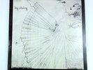 LP ANNETTE PEACOCK Sky-skating, Ironic records 1982 + insert - NM
