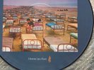 PINK FLOYD - A MOMENTARY LAPSE OF REASON LP PICTURE  DISC