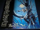 IRON MAIDEN - Fear Of The Dark 2 × Vinyl, LP, Album Gatefold 