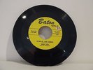 45 RECORD  BUDDY TATE- FATBACK AND GREENS