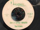 NORTHERN SOUL 45 The Fi-Dels-Try A Little Harder HEAR IT