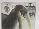 SEALED PROMO 