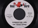 TRADE WINDS: Summertime Girl / The Party Starts At Nine 45 (dj) Oldies