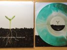 Tigers Jaw / Balance and Composure - Split Vinyl LP Brown White Green StarburstO