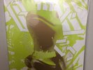 Boris Amplifier Worship Black Vinyl