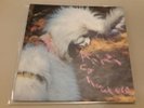 ANIMAL COLLECTIVE Who Could Win A Rabbit 7